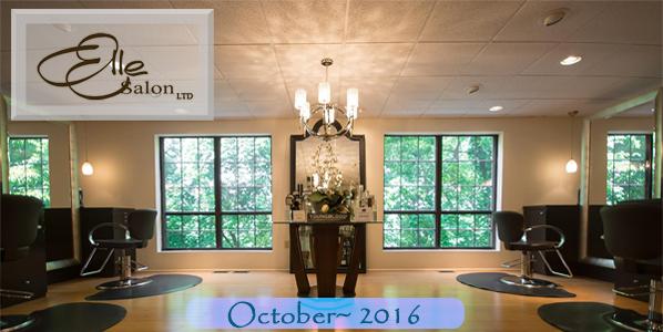 Elle Salon newsletter campaign header