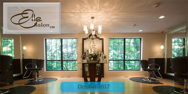 Elle Salon LTD - image of our salon (newsletter header)